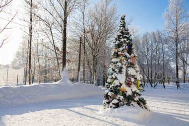 Similar image 21511523