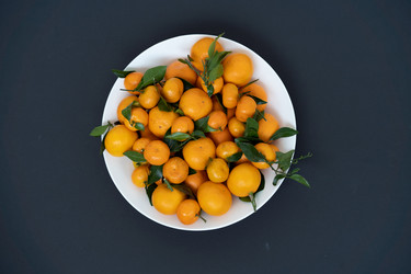 Similar image 21512100