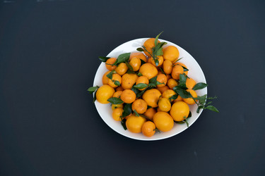 Similar image 21512105