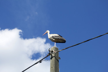 Similar image 21511956