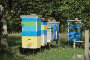 Similar image 21511959