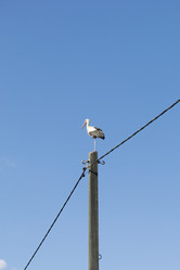 Similar image 21511960