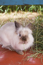 Similar image 21511961