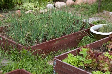 Similar image 21511971