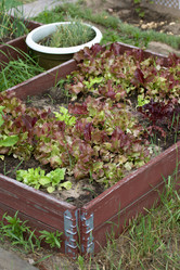 Similar image 21511972