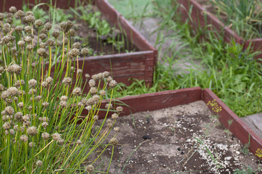 Similar image 21511973