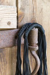 Similar image 21511977