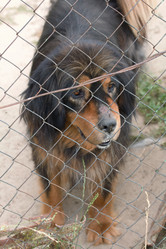 Similar image 21511981