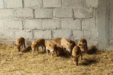 Similar image 21511983