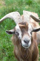 Similar image 21511984