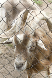 Similar image 21511986