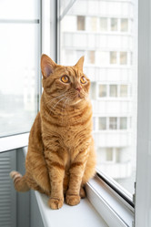 Similar image 21511845