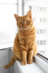 Similar image 21511846