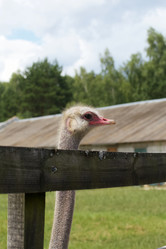 Similar image 21511988