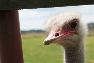 Similar image 21511989