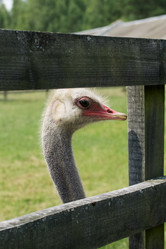 Similar image 21511990