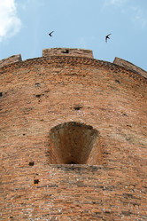 Similar image 21511998