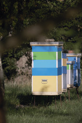 Similar image 21511999