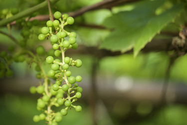 Similar image 21512002