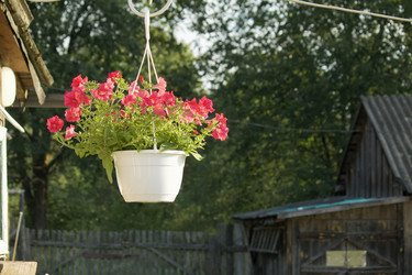 Similar image 21512003