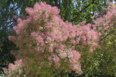 Similar image 21511908