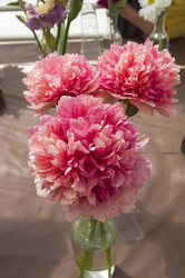 Similar image 21511909