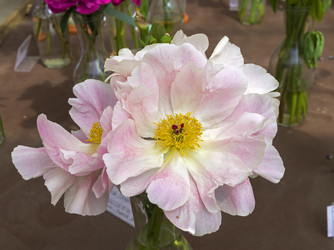 Similar image 21511910