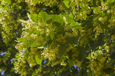 Similar image 21511911