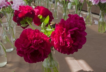 Similar image 21511912