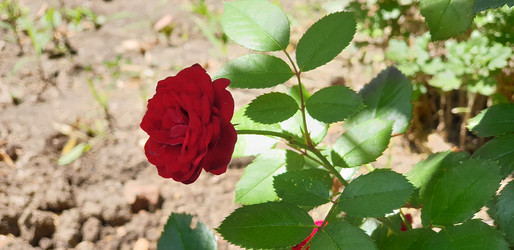 Similar image 21514432