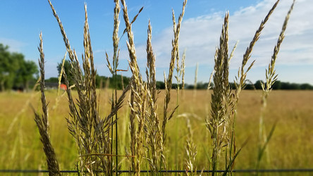 Similar image 21514441