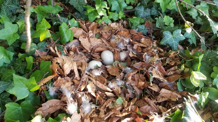 Similar image 21514443