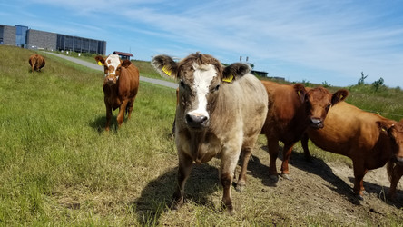 Similar image 21514444