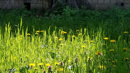 Similar image 21514446