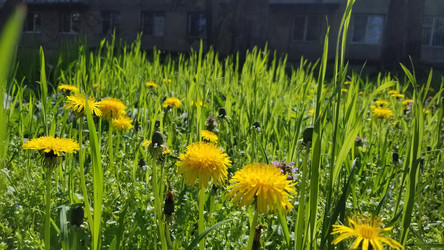 Similar image 21514447