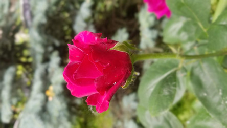 Similar image 21514448