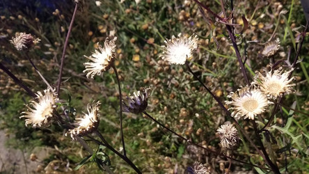 Similar image 21514450