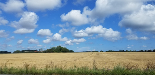 Similar image 21514452