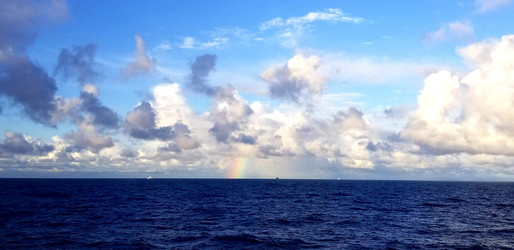 Similar image 21514458