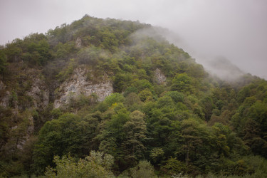 Similar image 21511932