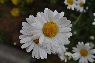 Similar image 21512056