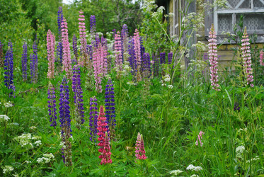 Similar image 21512057