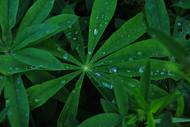 Similar image 21512058