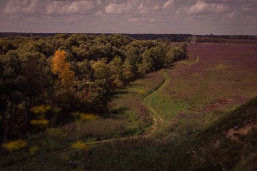 Similar image 21513158