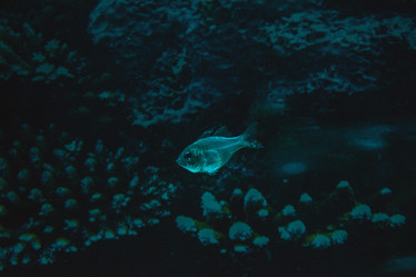 Similar image 21512342