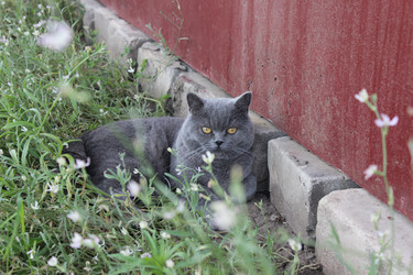 Similar image 21512346