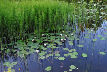 Similar image 21512073