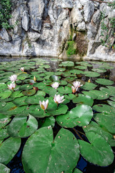 Similar image 21512494