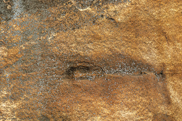 Similar image 21512078