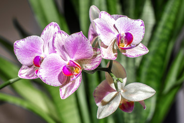 Similar image 21512081